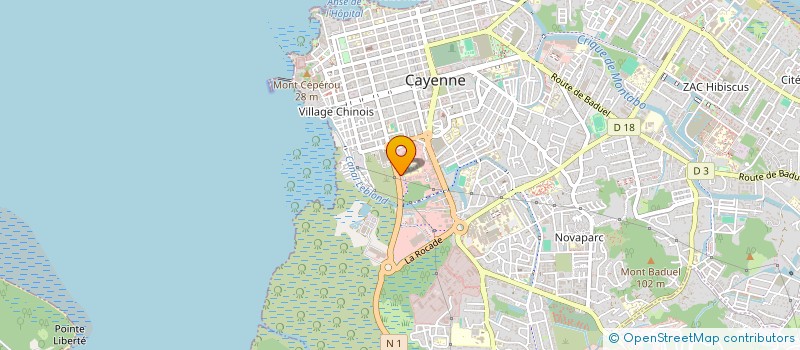 localisation de l'entreprise LES IRIS  CAYENNE