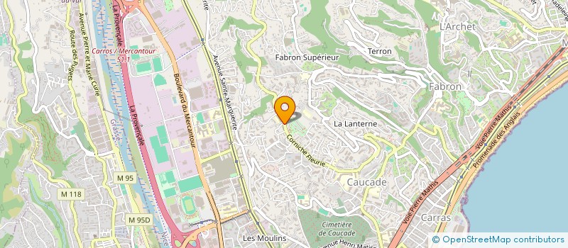 localisation de l'entreprise LES IRIS BLEUS à NICE