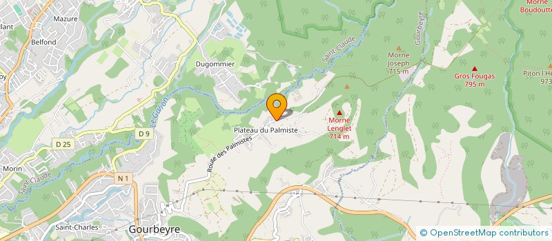 localisation de l'entreprise LES JARDINS DE PALMISTE  GOURBEYRE