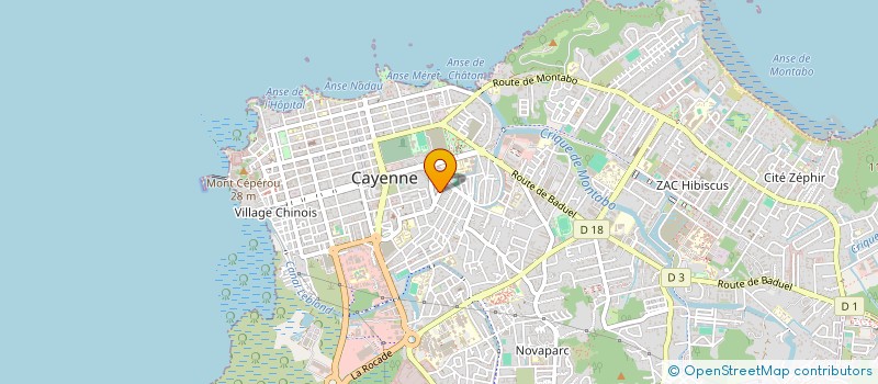 localisation de l'entreprise LES JASMINS à CAYENNE