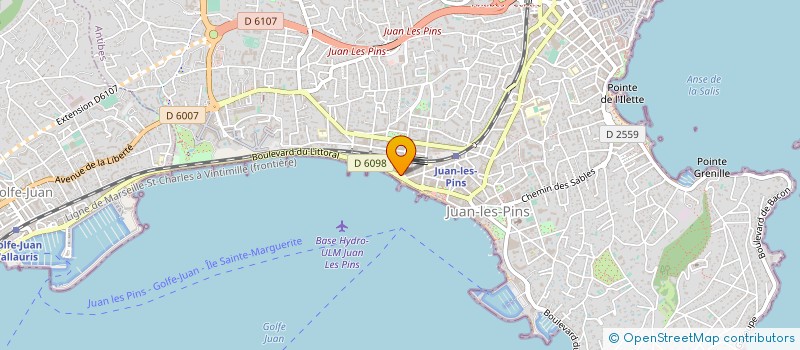 localisation de l'entreprise LES JASMINS à ANTIBES