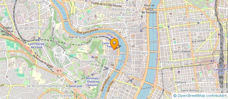 localisation de l'entreprise LES JOUETS DE SAINT JEAN  LYON