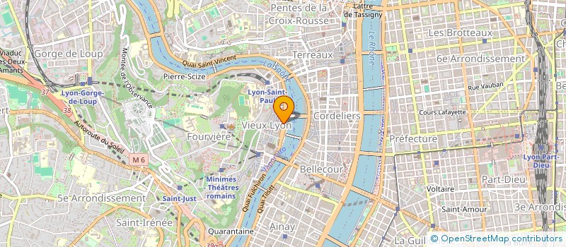 localisation de l'entreprise LES JUMEAUX à LYON