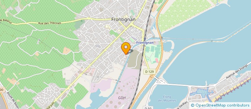 localisation de l'entreprise LES LAURIERS à FRONTIGNAN