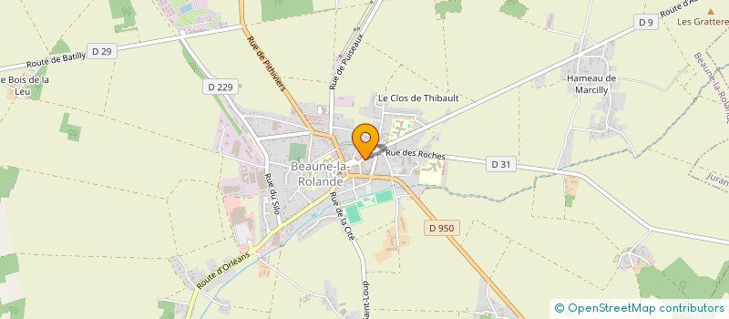 localisation de l'entreprise LES LIONCEAUX DU RIDEAU à BEAUNE-LA-ROLANDE