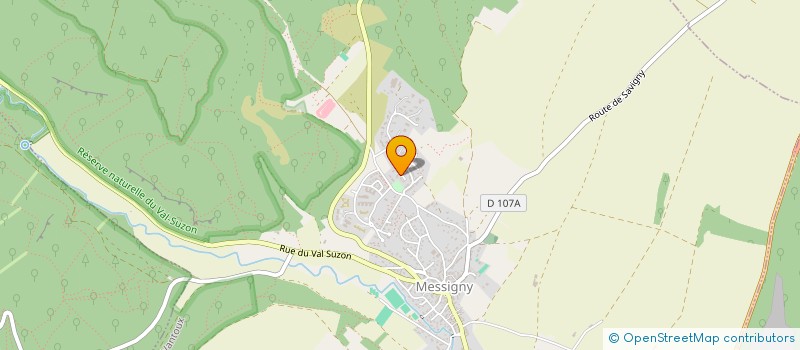 localisation de l'entreprise LES LIONS  FONTAINE-LES-DIJON