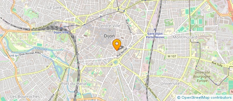 localisation de l'entreprise LES LIONS DE CHARNY à DIJON