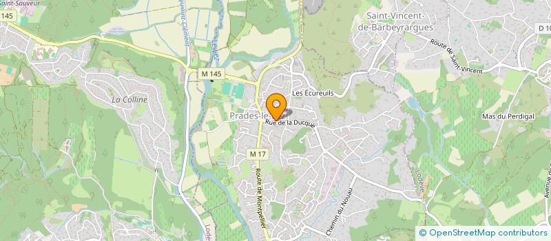 localisation de l'entreprise LES LIONS DE PRADES LE LEZ (FUTSAL CLUB) à PRADES-LE-LEZ