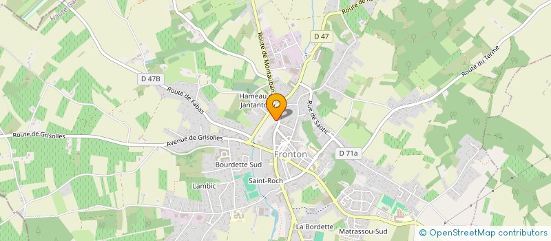 localisation de l'entreprise LES LOGES DU GREL  FRONTON