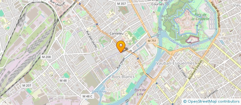 localisation de l'entreprise LES LOMM'NUBILES & CO à LILLE