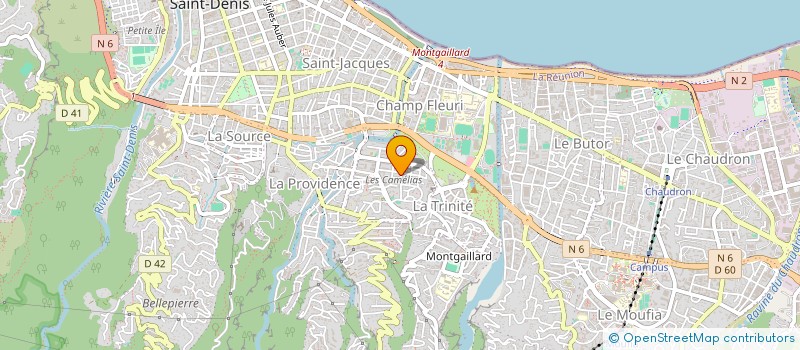 localisation de l'entreprise LES LONGANIS à SAINT-DENIS