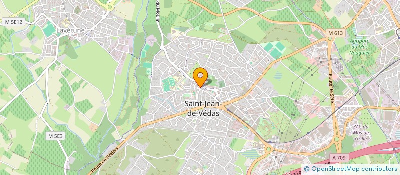 localisation de l'entreprise LES LOULOUS  SAINT-JEAN-DE-VEDAS