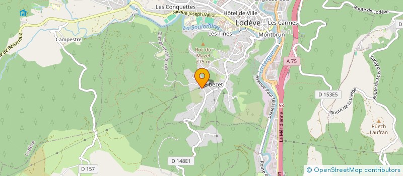 localisation de l'entreprise LES MAGNIFICOS à LODEVE