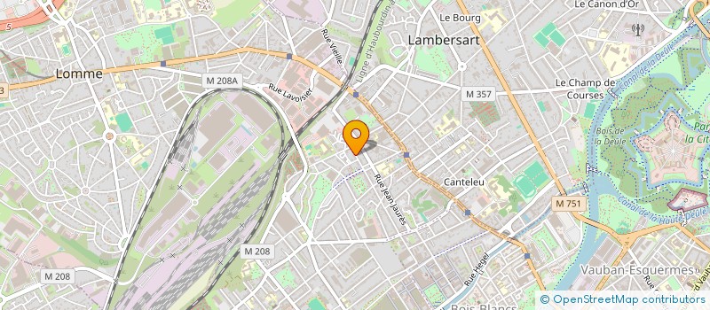 localisation de l'entreprise LES MALADES MASQUES à LILLE