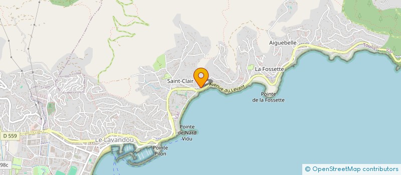 localisation de l'entreprise LES MANDARINIERS à LE LAVANDOU