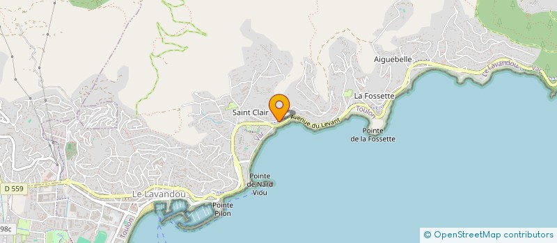 localisation de l'entreprise LES MANDARINIERS OC à LE LAVANDOU