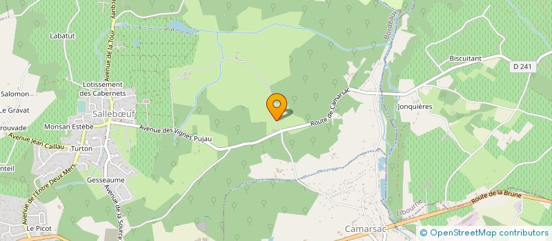 localisation de l'entreprise LES MANDINS  SALLEBUF