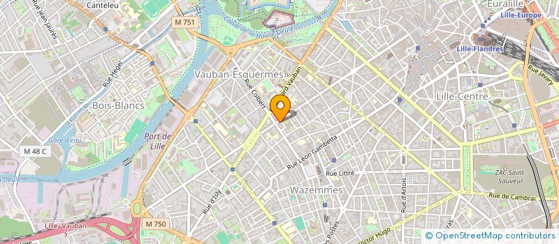 localisation de l'entreprise LES MANGAGNES à LILLE