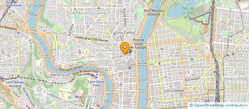 localisation de l'entreprise LES MANGEURS D ETOILE à LYON