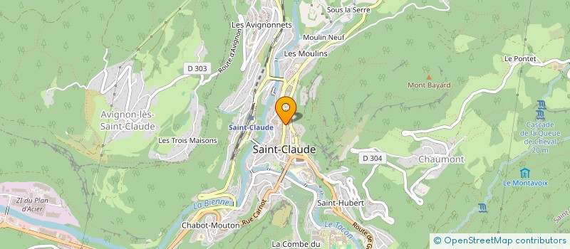 localisation de l'entreprise LES MANUSCRITS DE LA BIENNE à SAINT-CLAUDE