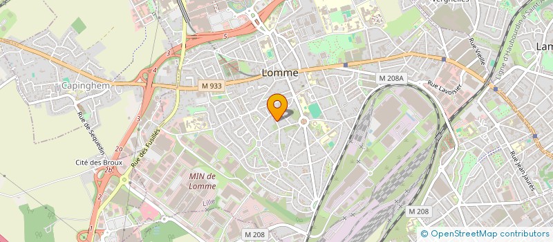 localisation de l'entreprise LES MARCHEURS ATHLETIQUES DE LONGUE DISTANCE - M.A.L.D. à LILLE