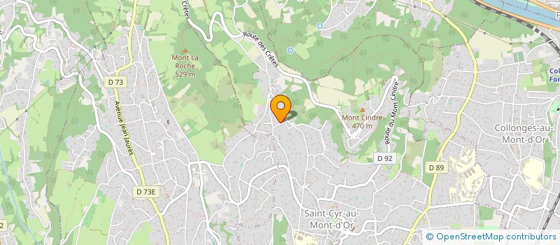 localisation de l'entreprise LES MARGUERITES  SAINT-CYR-AU-MONT-D'OR