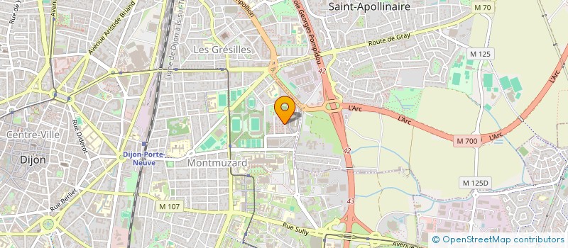localisation de l'entreprise LES MARIANNES.FR - RAID AMAZONES à DIJON