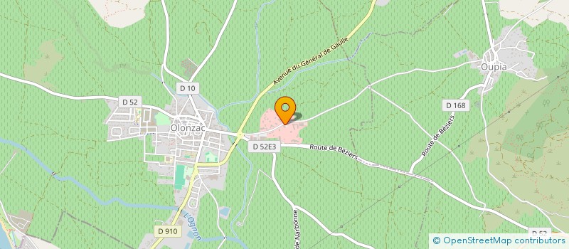 localisation de l'entreprise LES MARONNIERS à OLONZAC