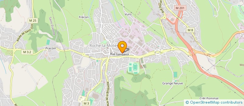 localisation de l'entreprise LES MARTINS PECHEURS ROUCHONS  ROCHE-LA-MOLIERE