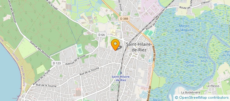 localisation de l'entreprise LES MAS DE RIEZ  SAINT-HILAIRE-DE-RIEZ