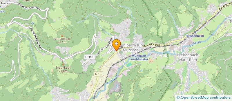 localisation de l'entreprise LES MESANGES  MUHLBACH-SUR-MUNSTER