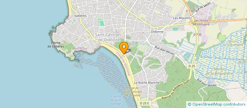 localisation de l'entreprise LES MILLE ET UNE VAGUES  SAINT-GEORGES-DE-DIDONNE
