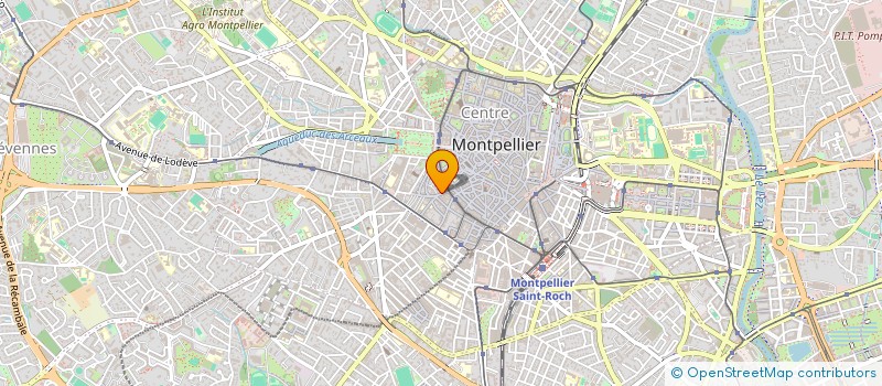 localisation de l'entreprise LES MILLES ET UNE SAVEURS à MONTPELLIER
