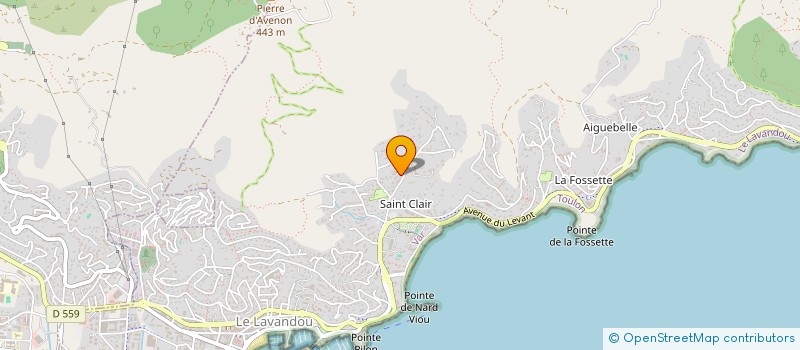 localisation de l'entreprise LES MIMOSAS à LE LAVANDOU