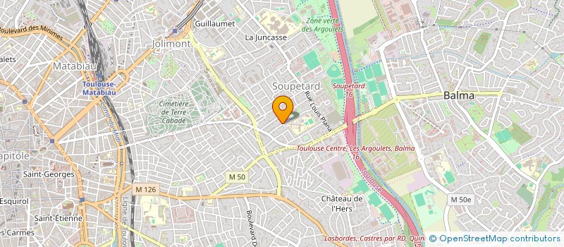localisation de l'entreprise LES MIMOSAS à TOULOUSE