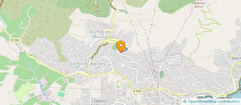 localisation de l'entreprise LES MIMOSAS à BORMES-LES-MIMOSAS