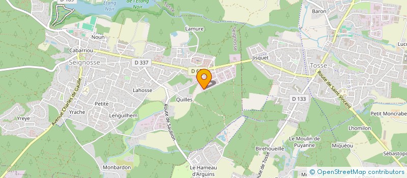 localisation de l'entreprise LES MIMOSAS  SEIGNOSSE