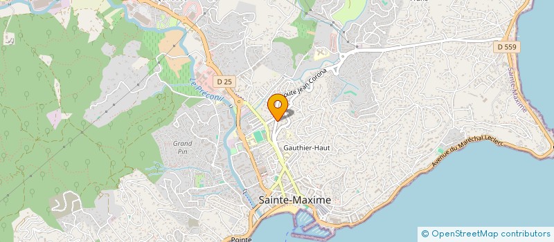 localisation de l'entreprise LES MISS EN SCENE .....  SAINTE-MAXIME