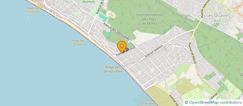 localisation de l'entreprise LES MONTAGNARDS  SAINT-JEAN-DE-MONTS