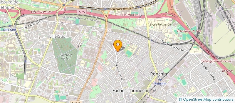 localisation de l'entreprise LES MORDUS DU PINCEAU à FACHES-THUMESNIL