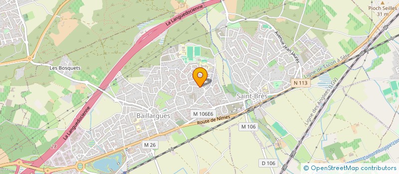 localisation de l'entreprise LES MOUS à BAILLARGUES
