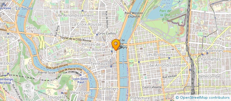 localisation de l'entreprise LES MURMURES DE LA SCENE à LYON