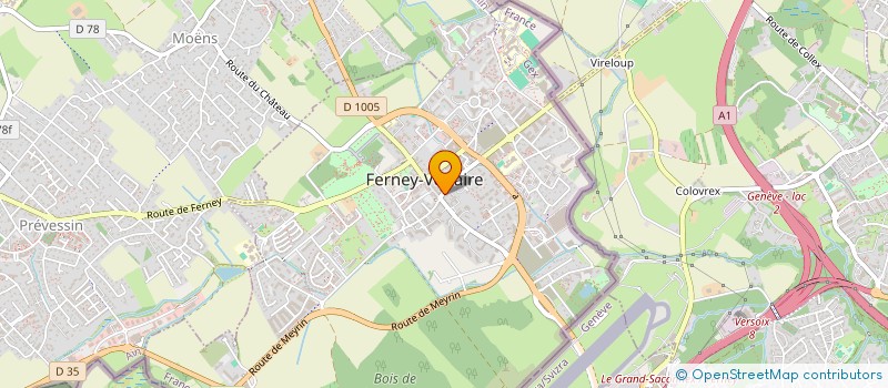localisation de l'entreprise LES MUSICALES DE FERNEY, OPUS 1 à FERNEY-VOLTAIRE