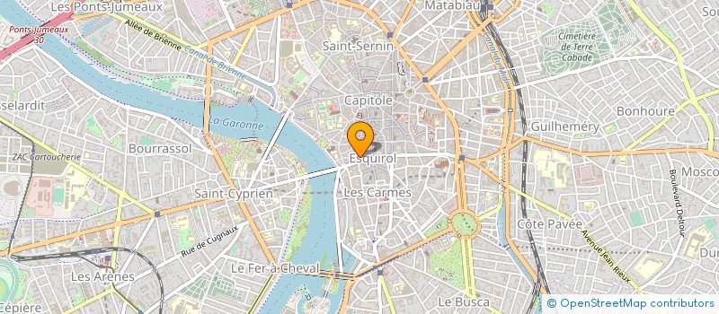 localisation de l'entreprise LES MUSICOPHAGES à TOULOUSE