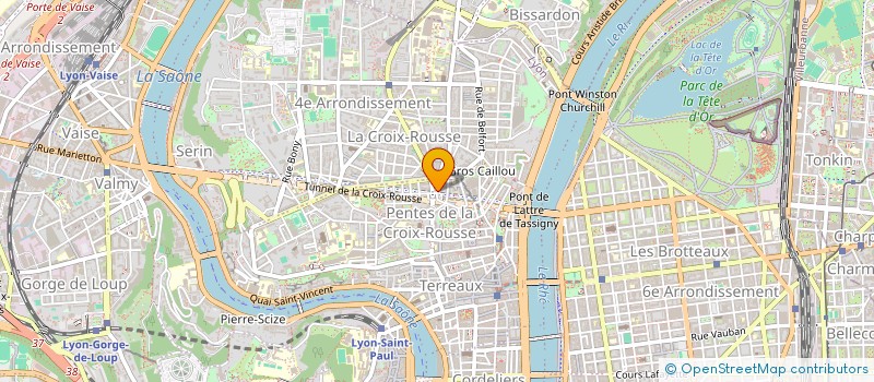 localisation de l'entreprise LES MUSIQUES PARLANTES à LYON