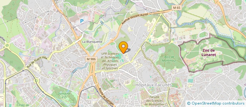 localisation de l'entreprise LES MUSTANGS DE MONTPELLIER FOOTBALL AMERICAIN à MONTPELLIER