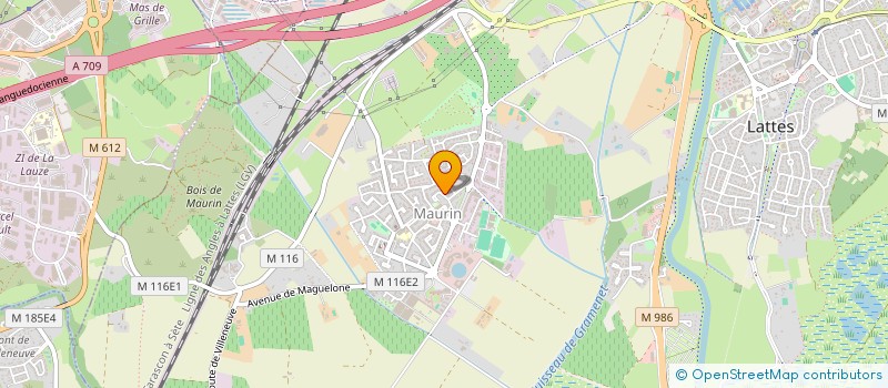 localisation de l'entreprise LES MYOSOTIS  LATTES