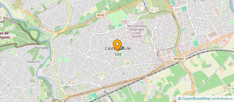 localisation de l'entreprise LES MYOSOTIS II  CASTELNAU-LE-LEZ