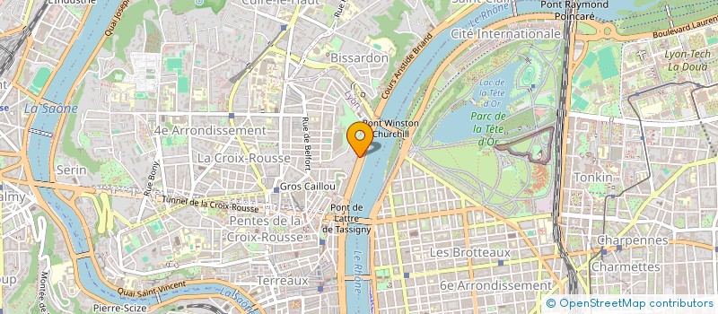 localisation de l'entreprise LES NETWORKEURS à LYON