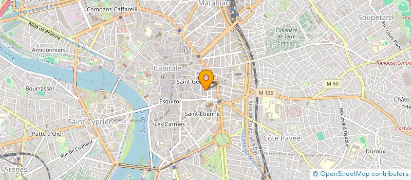 localisation de l'entreprise LES NIDS DE COLIBRIS  TOULOUSE